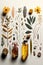 Knolling, medical herbs, bottles with remedies, pharmacy objects on off white background, AI generative