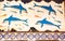 Knossos Dolphins