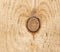 A knot in a light wooden Board. A pine knot. Close up