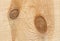 A knot in a light wooden Board. A pine knot. Close up