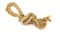 Knot with a loop from a thick rough rope