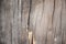 Knot wood Background