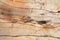 Knot wood Background