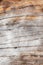 Knot wood Background