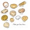Know your Indian bread chart vector illustration