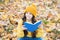 Knowledge is seed that grows when you read. Happy kid read book sitting on autumn leaves. Knowledge day. September 1