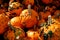 Knucklehead pumpkins piled upon each other