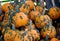 Knucklehead Pumpkins piled up at roadside produce stand