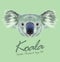 Koala animal face. Vector Australian cute head of marsupial bear. Realistic wild fur eucalyptus koala portrait isolated on green