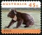 Koala Australian Postage Postage Stamp