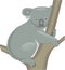 Koala Bear Illustration