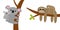 Koala bear. Sloth hanging on tree branch leaf. Cute cartoon kawaii funny lazy character set. Mother and baby. Wild joungle animal