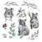 Koala bear watercolor set illustration. Australia symbol. Grey wild australia endemic furry animal. Cute koala bear and