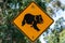 Koala crossing sign