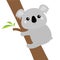 Koala face head hanging on eucalyptus tree. Gray silhouette. Kawaii animal. Cute cartoon bear character. Funny baby with eyes, nos