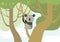 Koala flat design cartoon vector wild animals tree branch forest