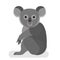 Koala with grey fur. Australian bear. Funny wild creature