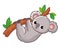 Koala hangs on a tree on a white background. Cute Australian animal in a cartoon style