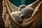 Koala lies lazily in a hammock and takes a nap AI generated Content