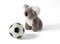 Koala Plushy With Soccer Ball