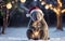 Koala\\\'s Christmas Celebration Festive Spirit in the Wild