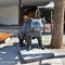 Koala sculpture in Surfers Paradise, Australia