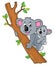 Koala theme image 2