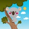 Koala Tree