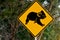 Koala warning sign
