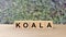 Koala - word wooden cubes on table blur background climbing green leaves. Australia animal, australian emergency, help fire emblem