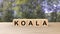 Koala - word wooden cubes on table horizontal over forest trees, Australia animal, australian emergency, help fire emblem design