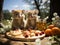 Koalas having picnic under tree