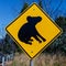 Koalas watch out for them - Australian signs found along the road