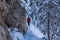 Kobesnock - Front view of woman snow shoe hiking through fir tree forest after heavy snowfall in Bad Bleiberg, Carinthia, Austria