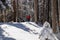 Kobesnock - Front view of woman snow shoe hiking through fir tree forest after heavy snowfall in Bad Bleiberg, Carinthia, Austria