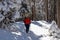 Kobesnock - Front view of woman snow shoe hiking through fir tree forest after heavy snowfall in Bad Bleiberg, Carinthia, Austria