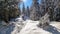 Kobesnock - Front view of woman snow shoe hiking through fir tree forest after heavy snowfall in Bad Bleiberg, Carinthia, Austria