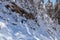 Kobesnock - Rear view of woman snow shoe hiking through fir tree forest after heavy snowfall in Bad Bleiberg, Carinthia, Austria