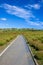 Kochia fields with beautiful sky at Hitachi Seaside Park, Japan