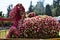 Kodaikanal, Tamilnadu, India - June 2, 2019: Nandi Statue made with flowers at the 58th flower show in Kodaikanal