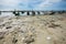 KOH SAMUI, THAILAND - APRIL 22: Garbage on  beach.