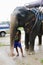 KOH SAMUI, THAILAND - OCTOBER 23, 2013: Elephant in harness and young boy mahout