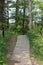 The Kohler Dunes Cordwalk trail in the forest at Kohler Dunes State Natural Area in Sheboygan, Wisconsin