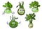 Kohlrabi cabbage vegetables cartoon characters