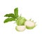 Kohlrabi cabbages. Whole, halved and quarter. Illustration of fresh farm vegetables. Eco turnip cabbage. Vector illustration for m