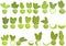 Kohlrabi icons set cartoon vector. Agriculture cabbage