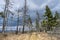 Kohut hill, Stolica mountains, Slovakia, forest calamity