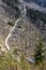 Kohut hill, Stolica mountains, Slovakia, forest calamity