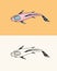 Koi carp, Japanese fish. Korean animal. Engraved hand drawn line art Vintage tattoo monochrome sketch for poster or