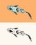 Koi carp, Japanese fish. Korean animal. Engraved hand drawn line art Vintage tattoo monochrome sketch for poster or